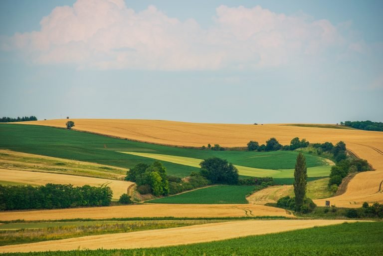 Scenic Agriculture Landscape